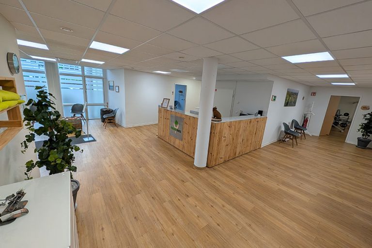 Praxis Bies Fellbach Physiotherapie 768x512